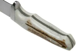 Böker Integral II Stag 123541 Cuerno De Ciervo, Cuchillo De Caza 10 Böker Integral II Stag 123541 Cuerno De Ciervo, Cuchillo De Caza -The Adventure Kit BO123541 04 boker