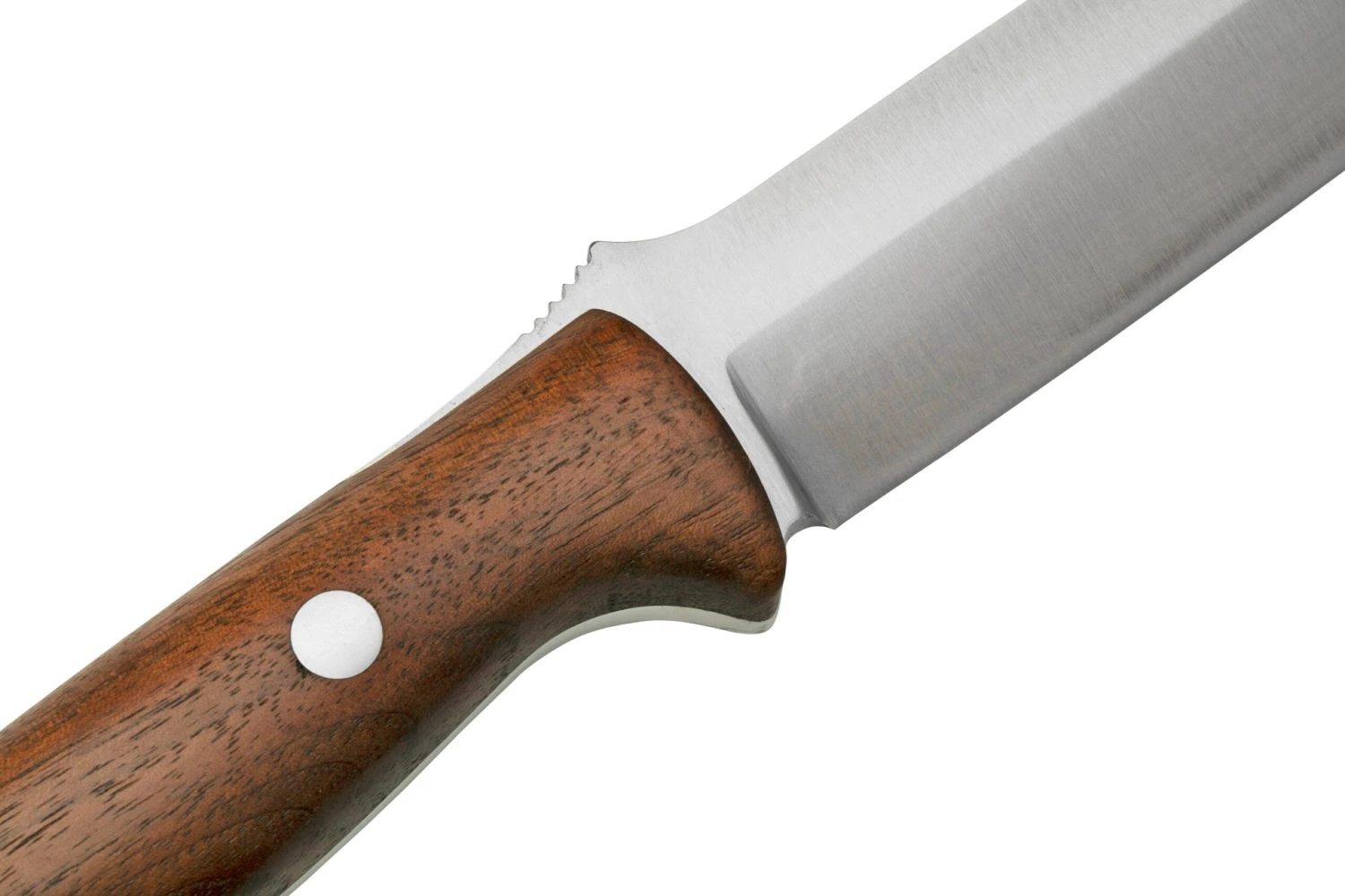 Bark River Bravo 1.2 CPM 3V American Walnut, Cuchillo De Exterior 5 Bark River Bravo 1.2 CPM 3V American Walnut, Cuchillo De Exterior - Imagen 5