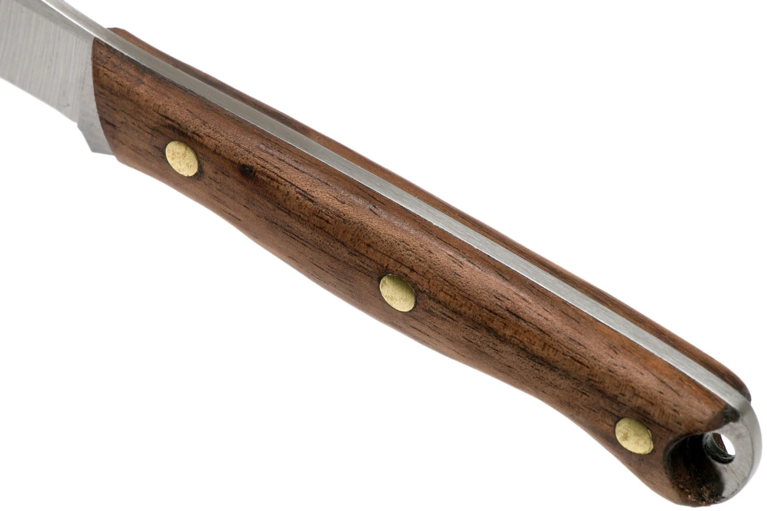 Condor Scotia Knife 102-3.55HC Cuchillo De Exterior 60045 5 Condor Scotia Knife 102-3.55HC Cuchillo De Exterior 60045 - Imagen 5